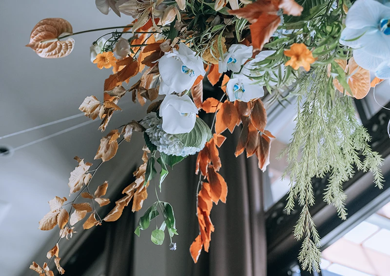 MAXIMANIS(マキシマニス)